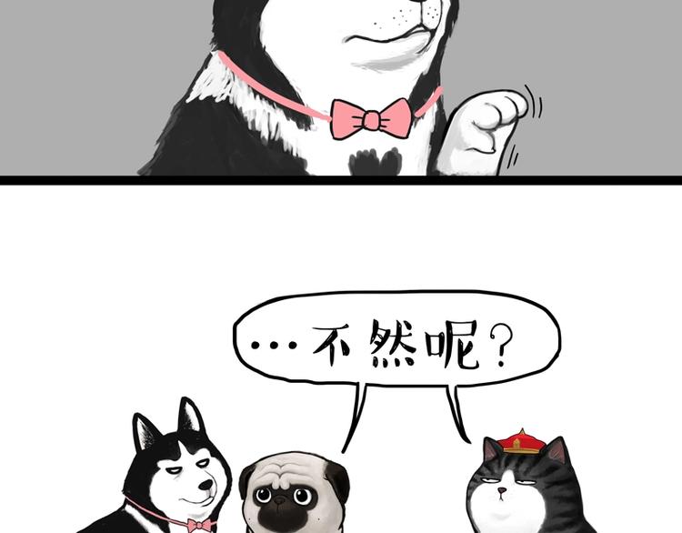 第153话 我最狗5