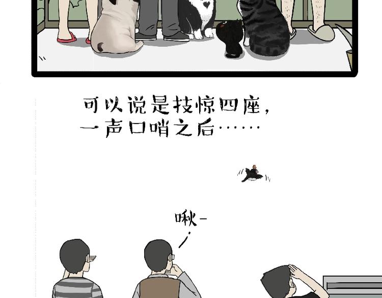 第163话 记得回家看看4