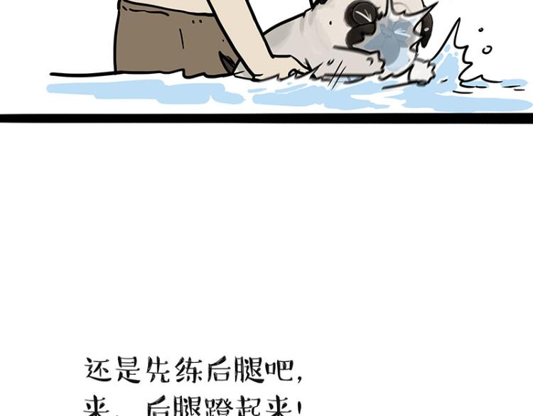 第294话 教狗游泳难度爆棚9