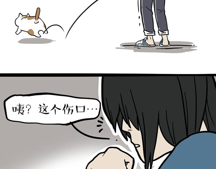 第290话 凶恶猫猫组织61