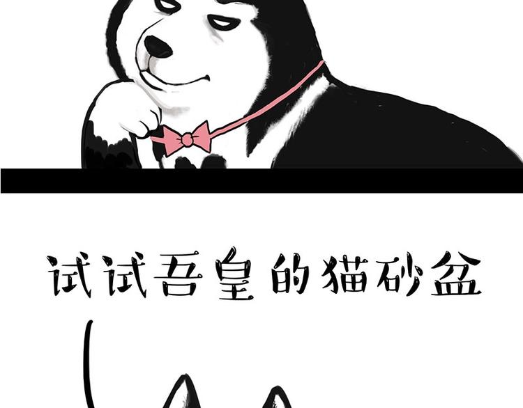 第160话 最差的一届哈士奇！33