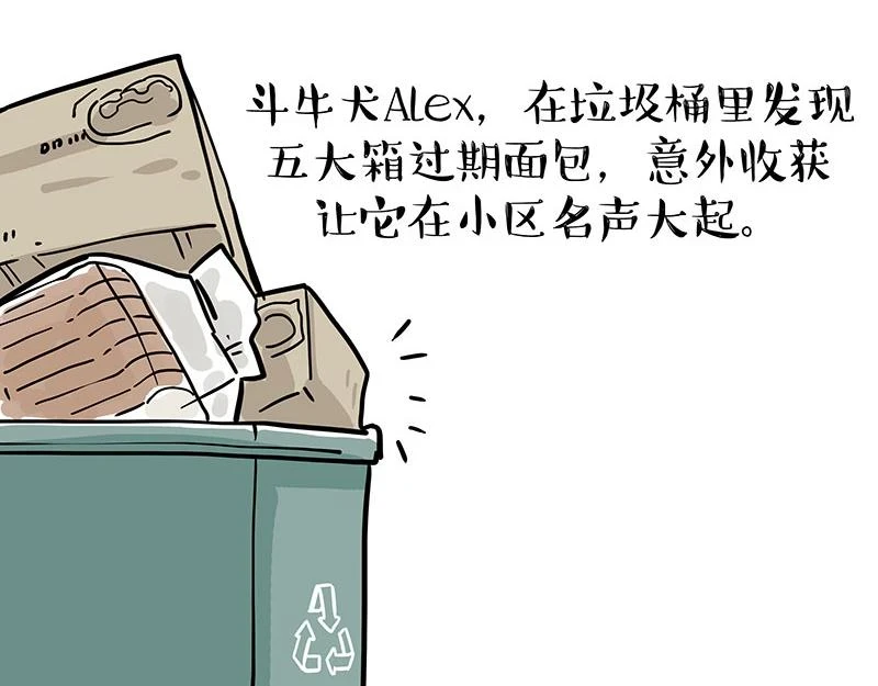 第365话 “神犬”巴扎黑27