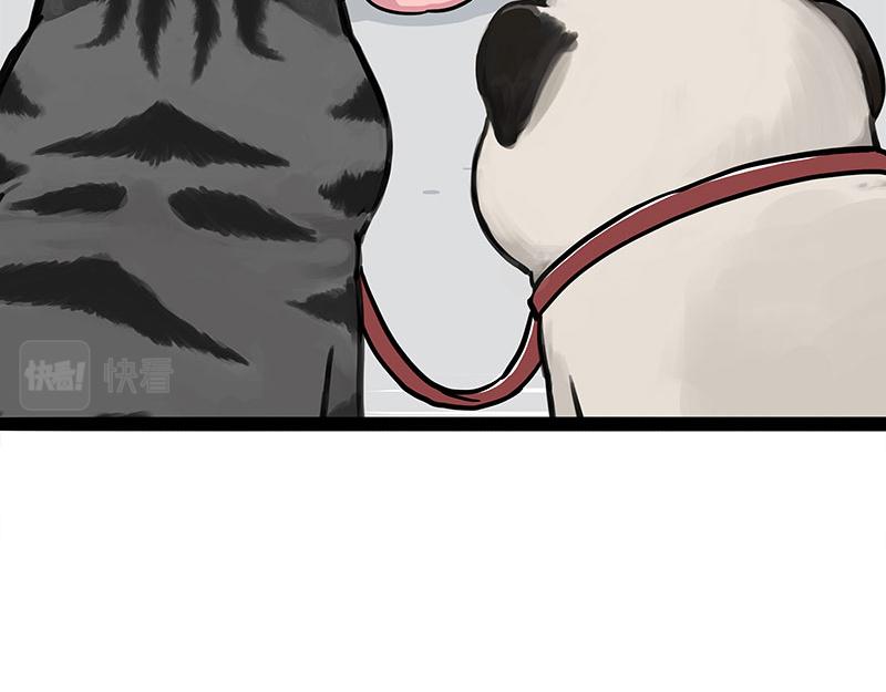 第355话 一起回家19