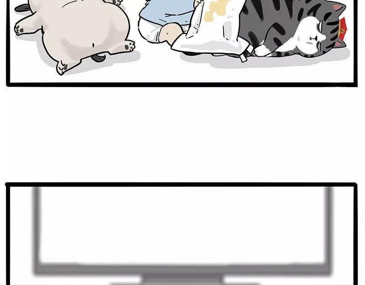 第191话 猫猫无证看孩子？！64