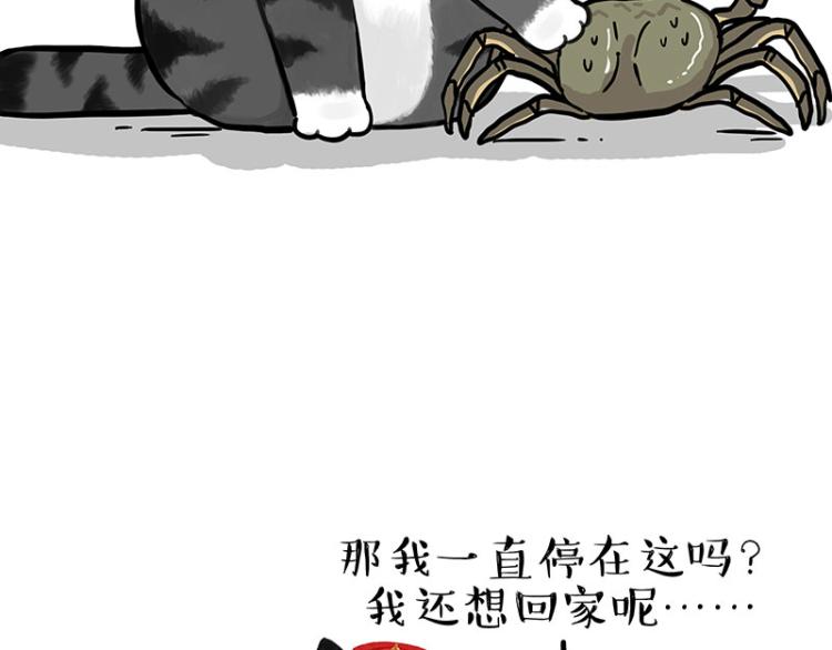 第286话 动物世界46