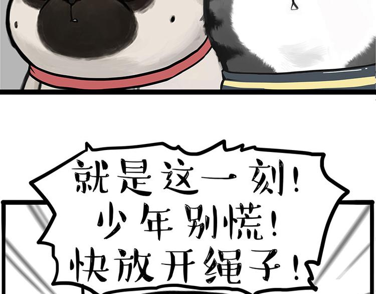 第262话 忠犬巴扎黑？！43