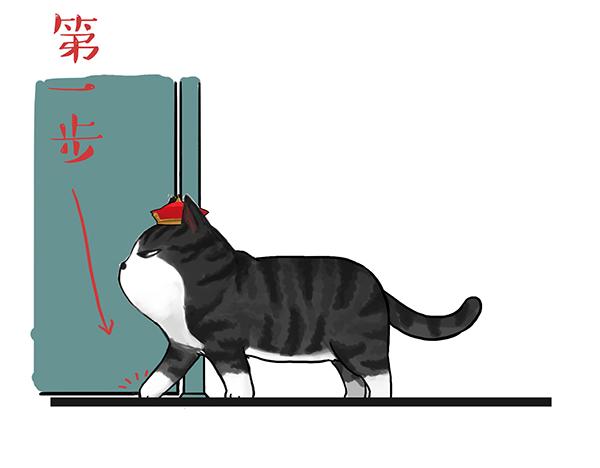 第71话 撸猫神器11