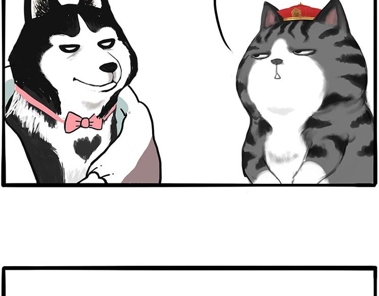 第197话 猫怼狗50