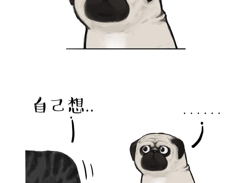 第75话 猫奴被嫌弃了7