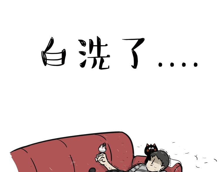 第57话 宠物太粘人是什么体验7