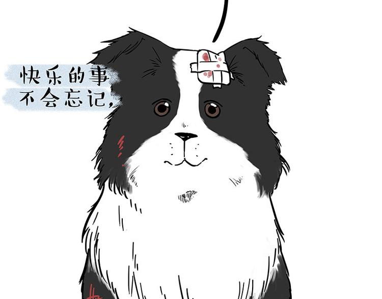 第207话 巴扎黑丢了？！72