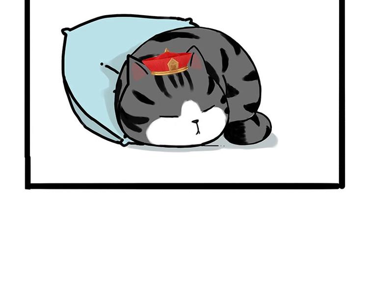 第172话 少年大改造？23
