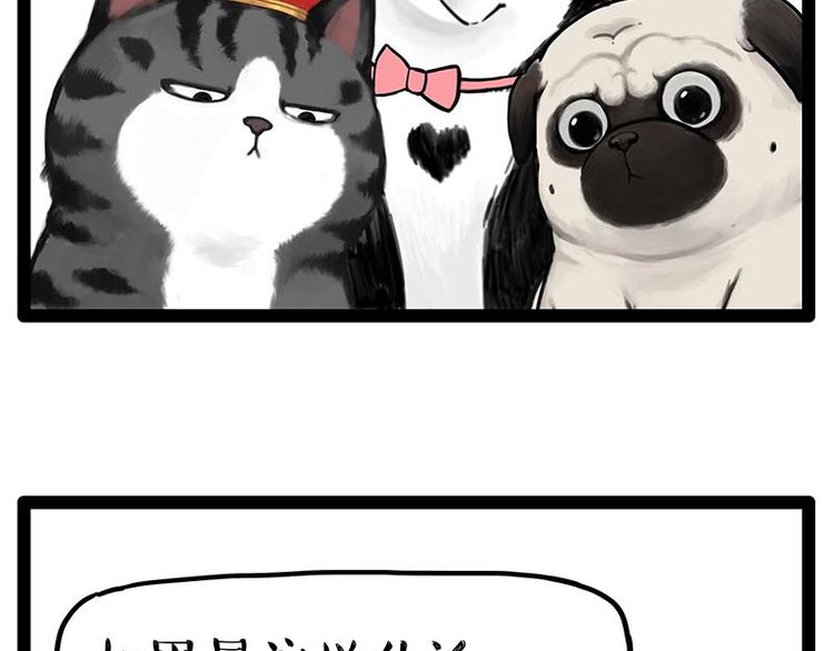 第243话 社会性死亡74