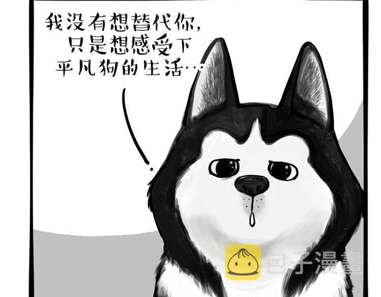 第289话 吹牛狗真牛2