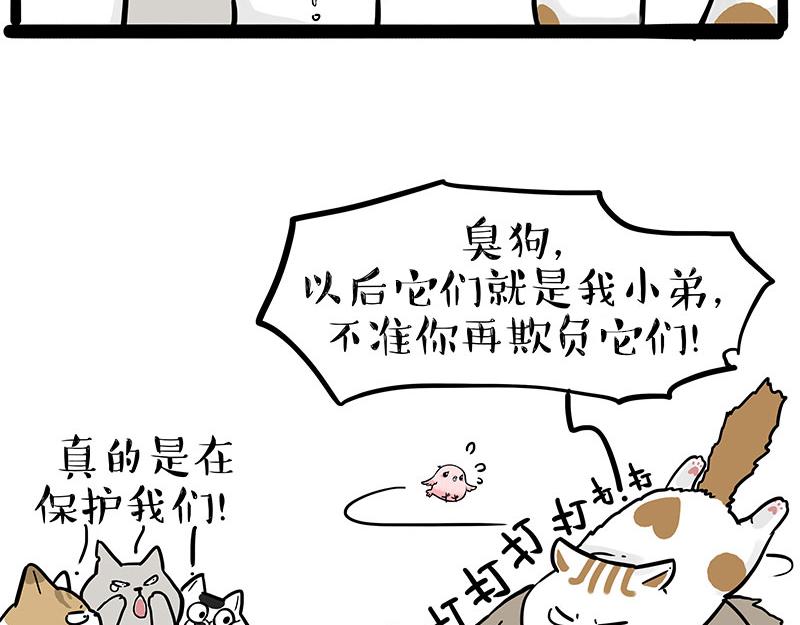 第308话 恶霸最大！20