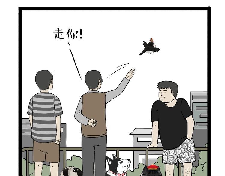 第163话 记得回家看看3