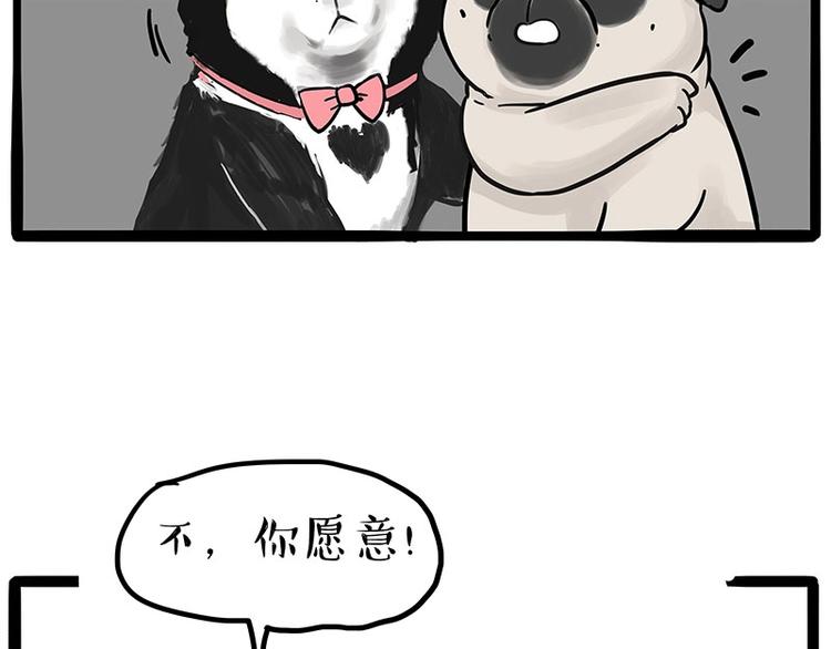 第192话 大型爱情翻车现场10