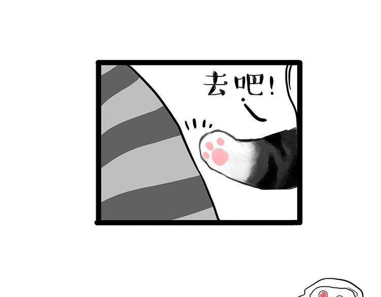 第205话 一切都是猫的安排9