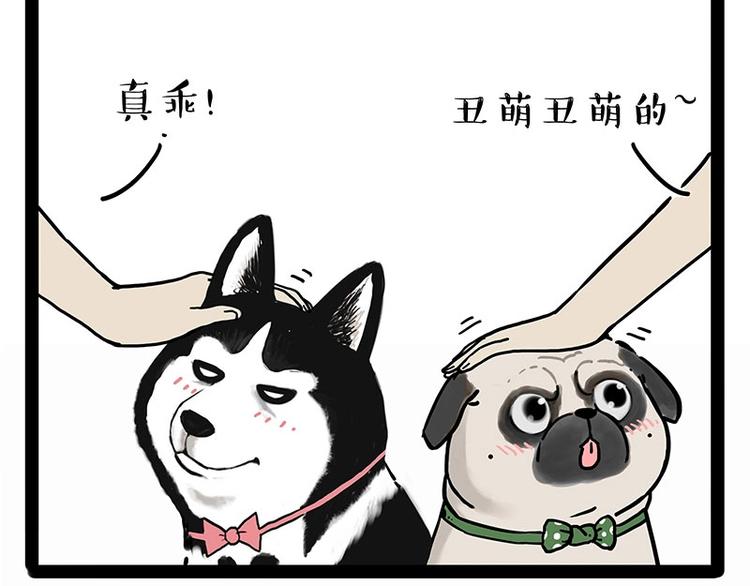 第194话 生活不易，猫狗打工21