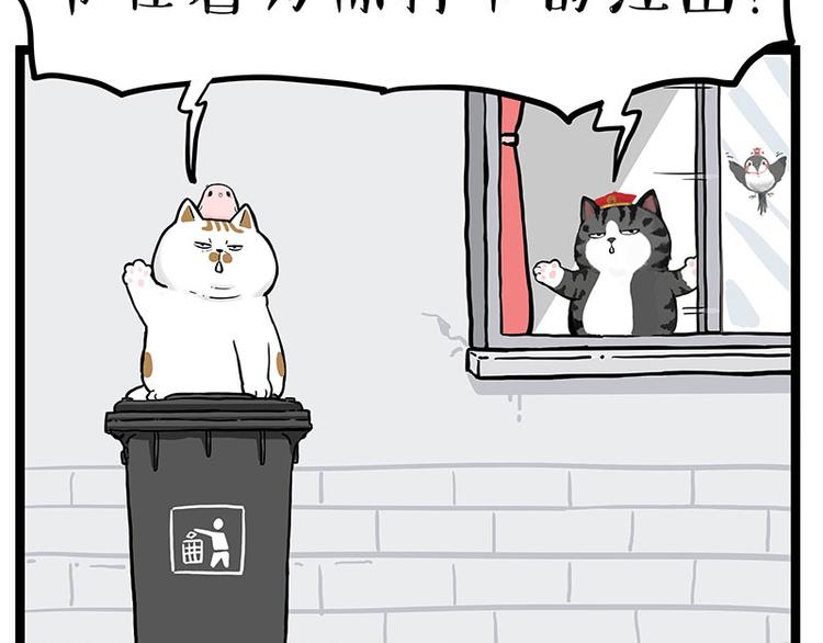 第277话 猫斗猫3