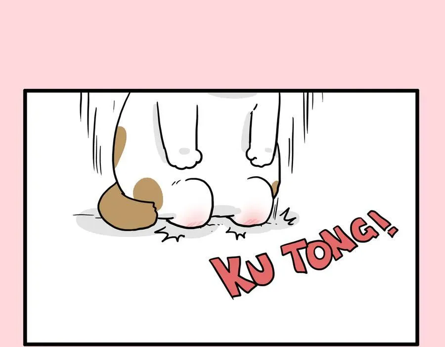 第415话 不再心软14