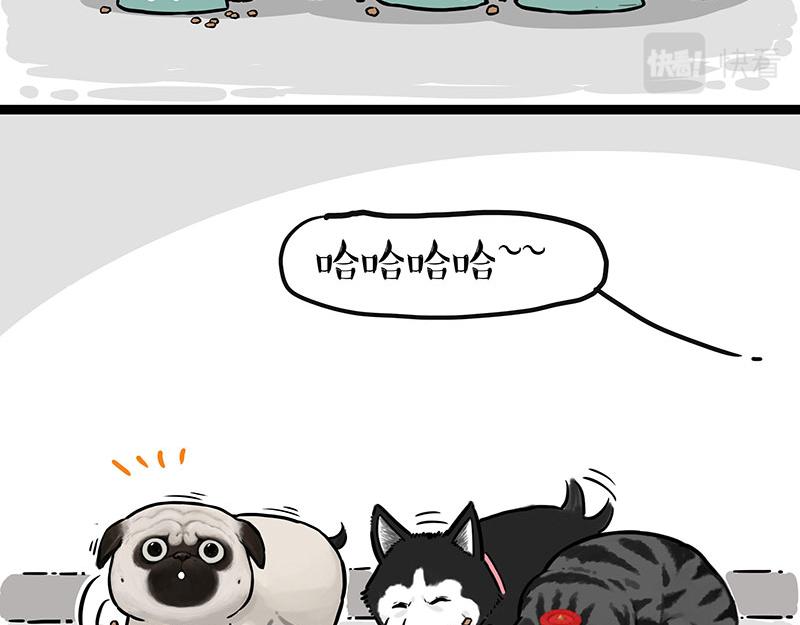 第299话 真假虚实20