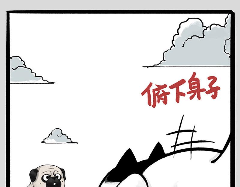 第331话 猫王争霸之“杀青”58