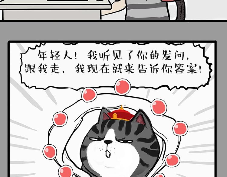 第205话 一切都是猫的安排5