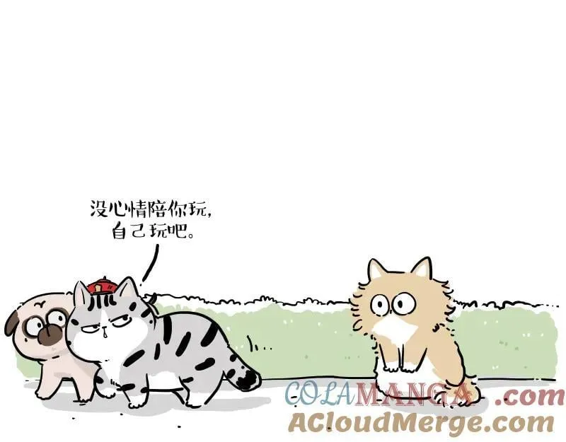 第424话 话痨小猫6