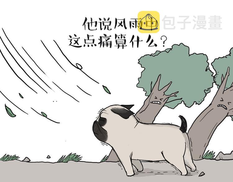 第39话 现在的猫狗戏比人都多19
