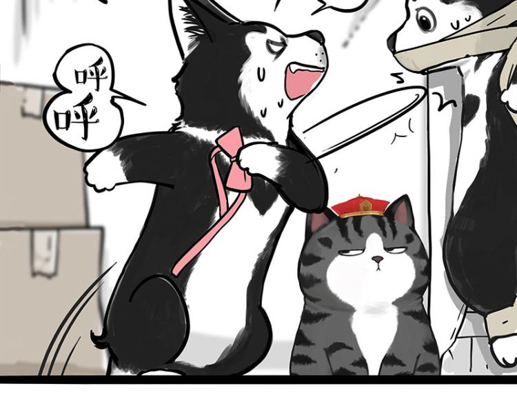 第288话 冒牌货，拿来吧你！60