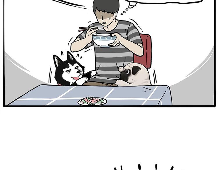 第253话 与狗争饭18