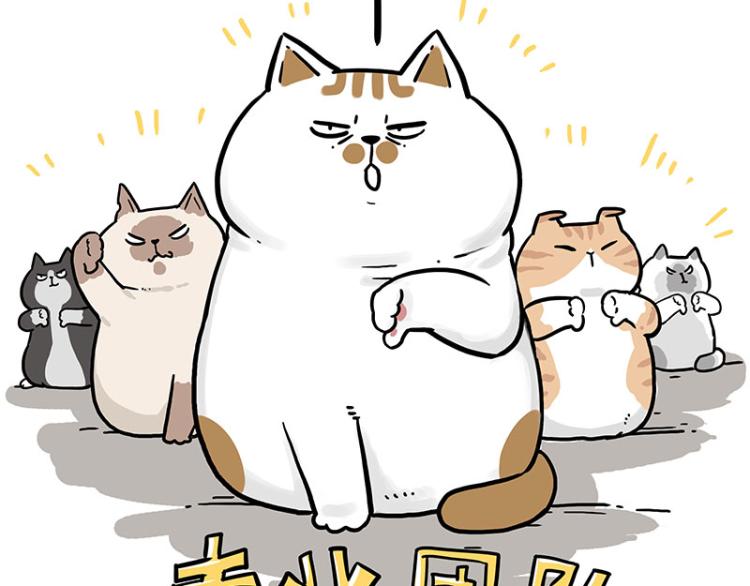 第290话 凶恶猫猫组织11