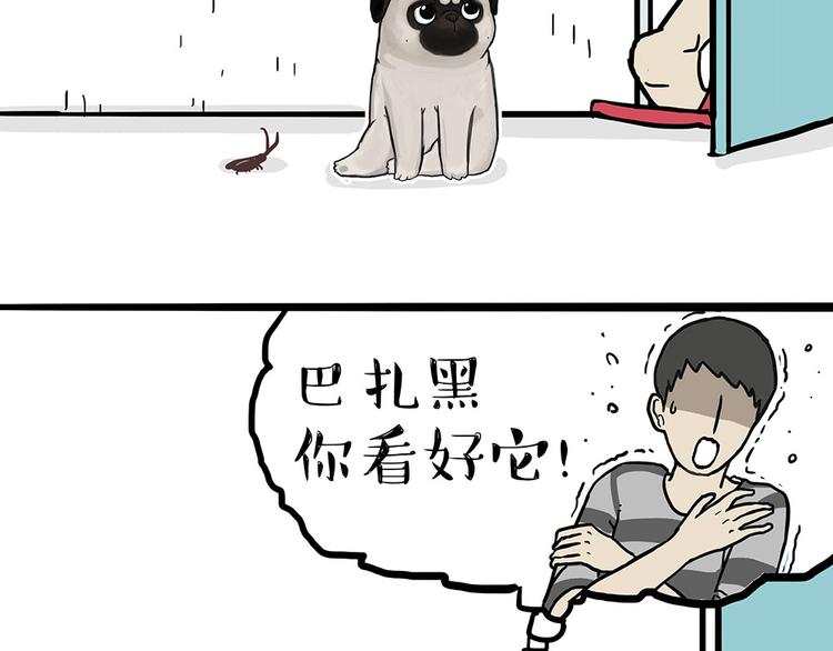第181话 零食风波与蟑螂风波53
