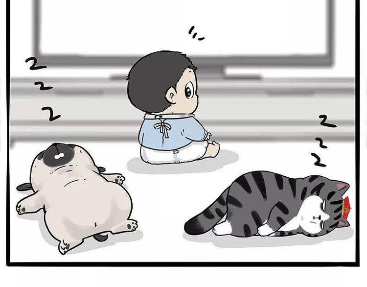 第191话 猫猫无证看孩子？！62