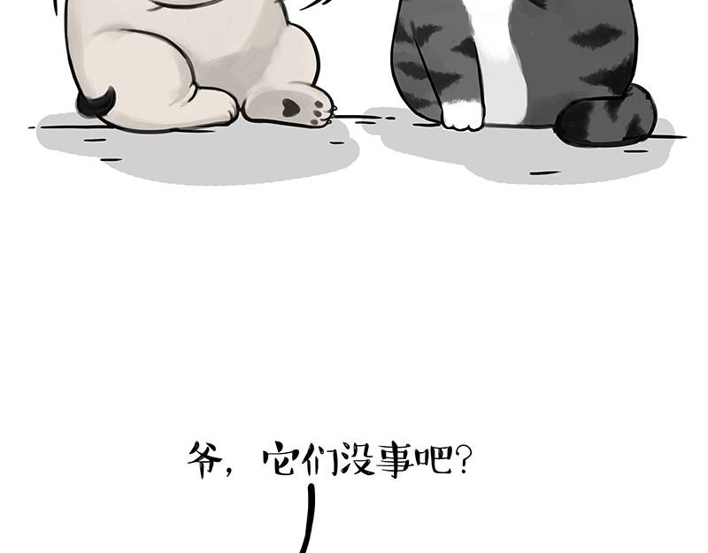第336话 “告别”仪式14