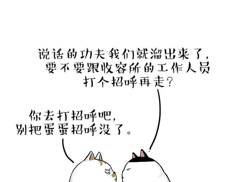 第216话 傲霸求领养了！62