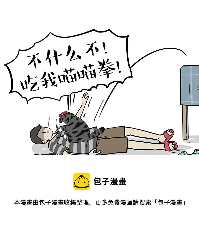 第325话 你不守猫德50