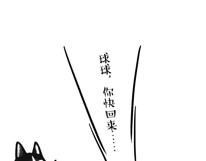 第337话 下辈子报仇16
