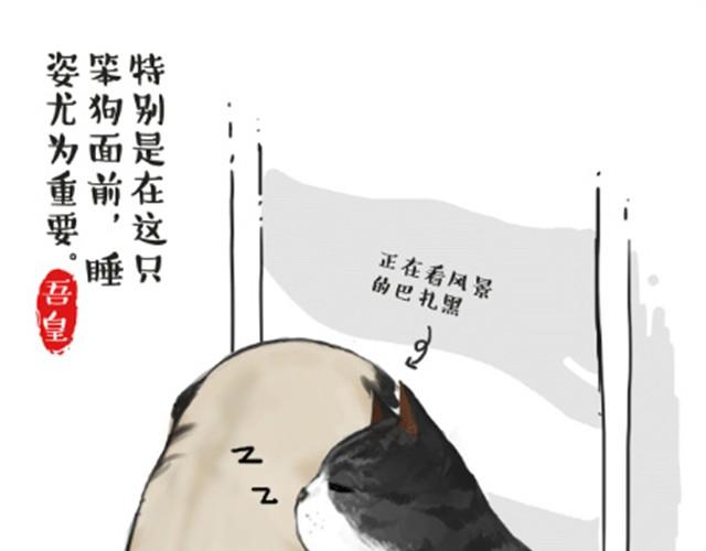 第6话 喵的睡姿就是如此奔放7