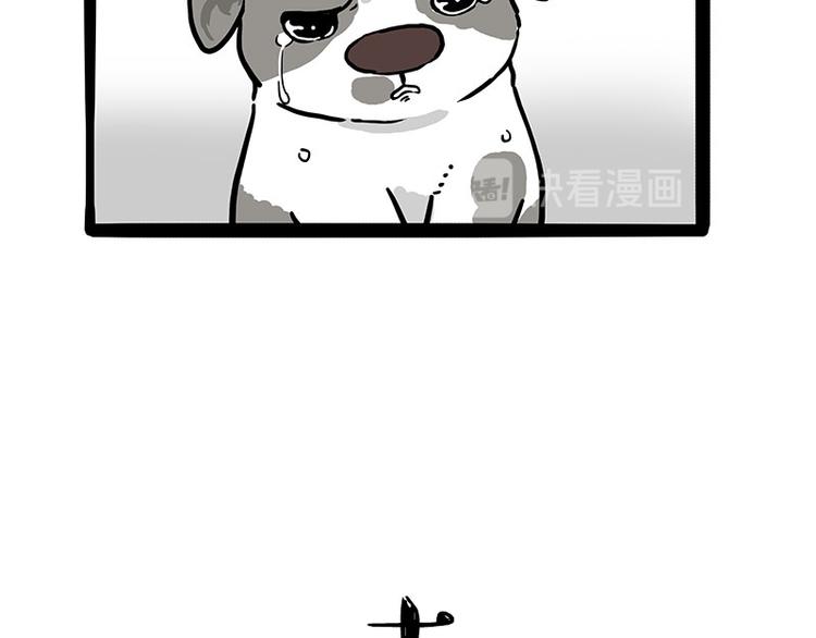 第270话 胖老猫你个大骗子！60
