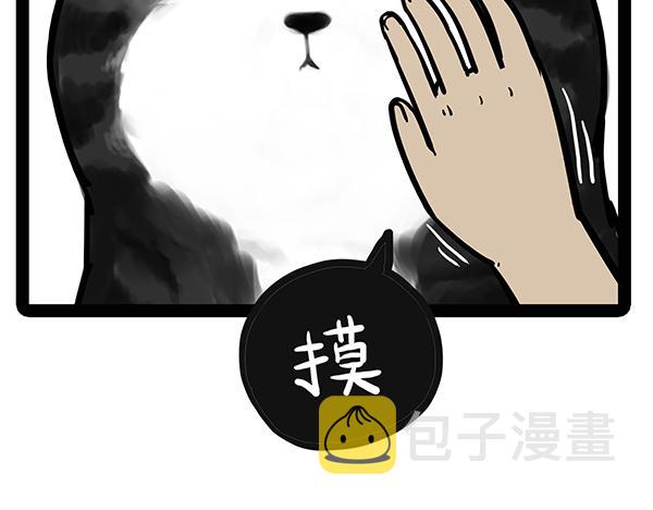 第71话 撸猫神器18