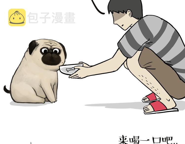 第44话 日常坑狗，却猫前屈膝2