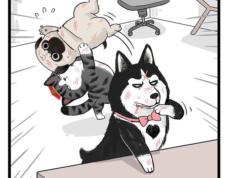 第254话 摔角大赛谁与争锋10
