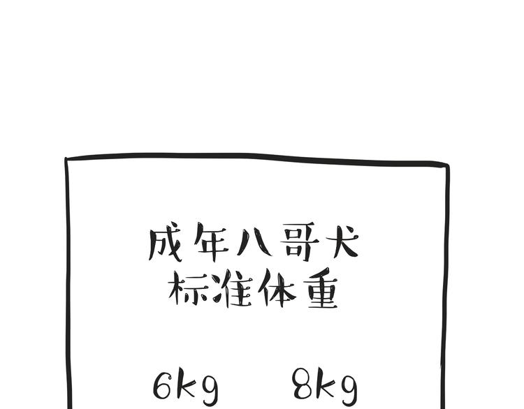 第74话 猫主子送的也敢扔17