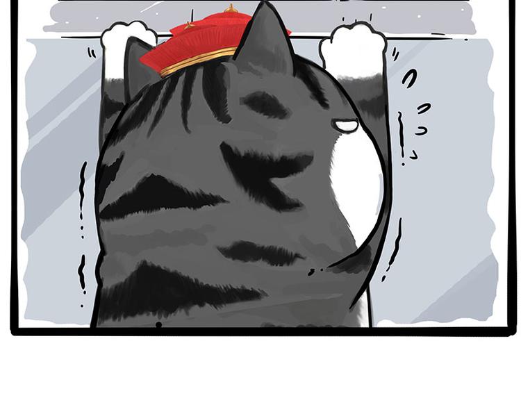 第226话 表情帝16