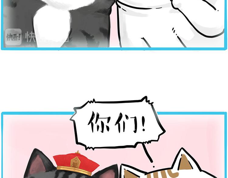 第249话 黑黑快跑！37