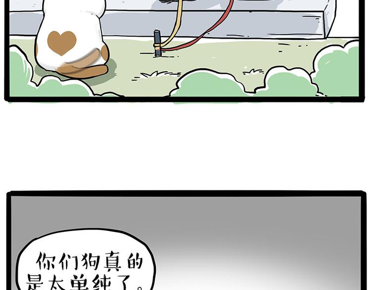 第223话 狗知识增加了4