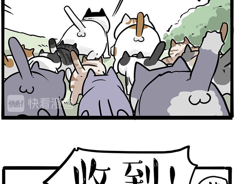 第271话 进击的流浪猫！54