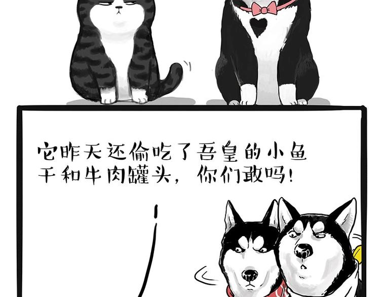 第175话 狗中王者31